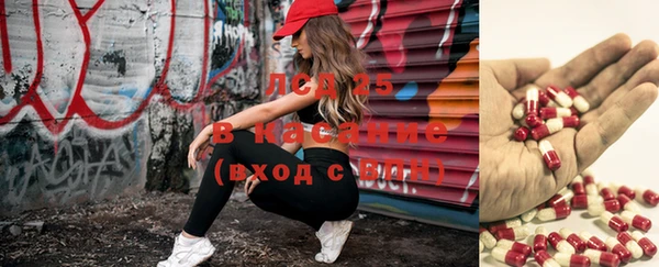 PSILOCYBIN Ладушкин